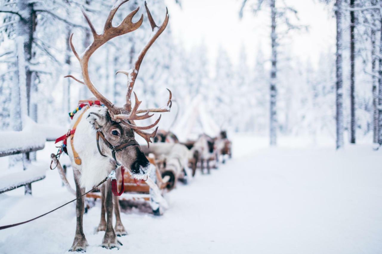 Forenom Serviced Apartments Rovaniemi Valtakatu ภายนอก รูปภาพ